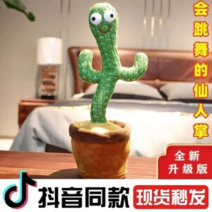 Talking Cactus